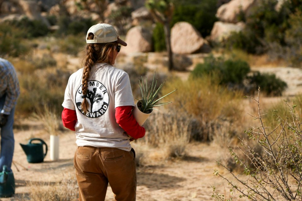 Carrying plants to dug holes near Hemingway Buttress