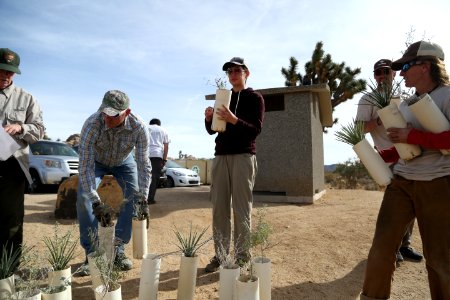 Preparing to plant near Hemingway Buttress