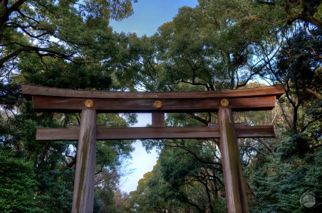 Torii - Meiji-jingu photo