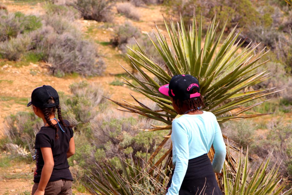 Young Hikers
