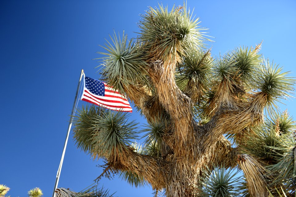 Flag at Black Rock