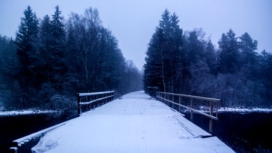Winters Bone