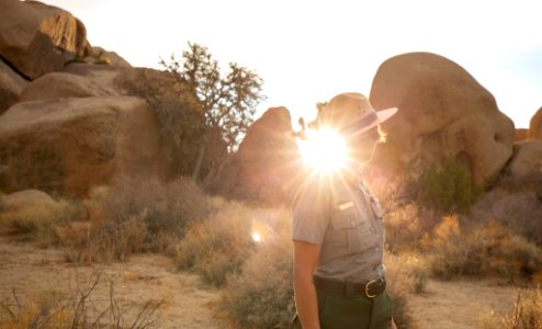 Park Ranger at work