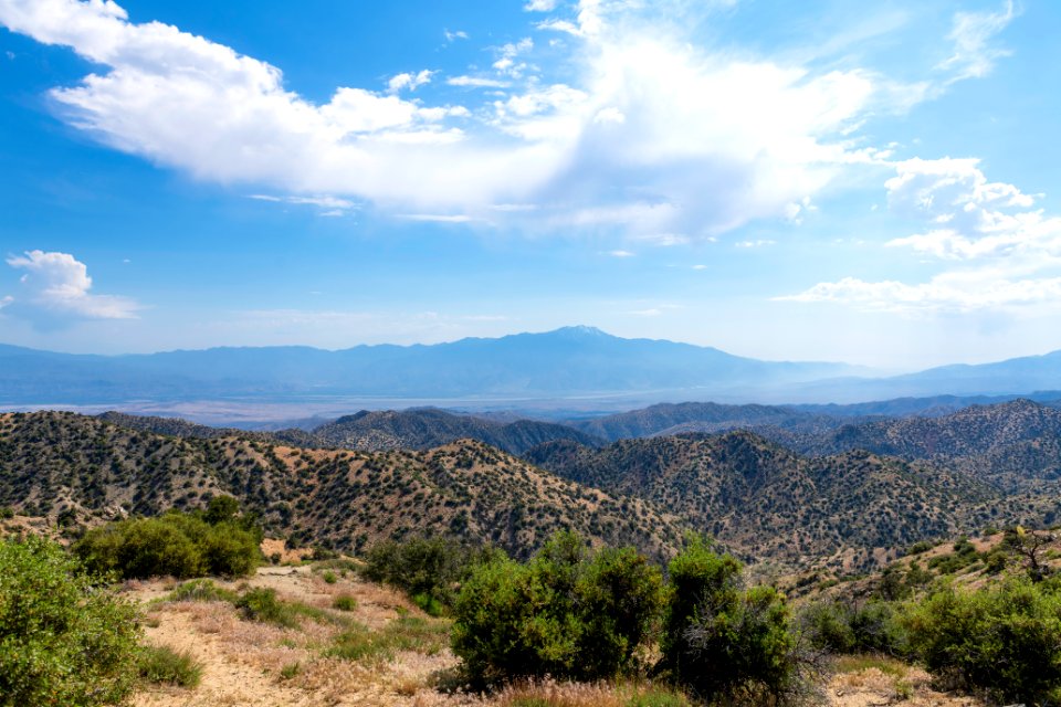 Mount San Jacinto from Upper Covington Flats