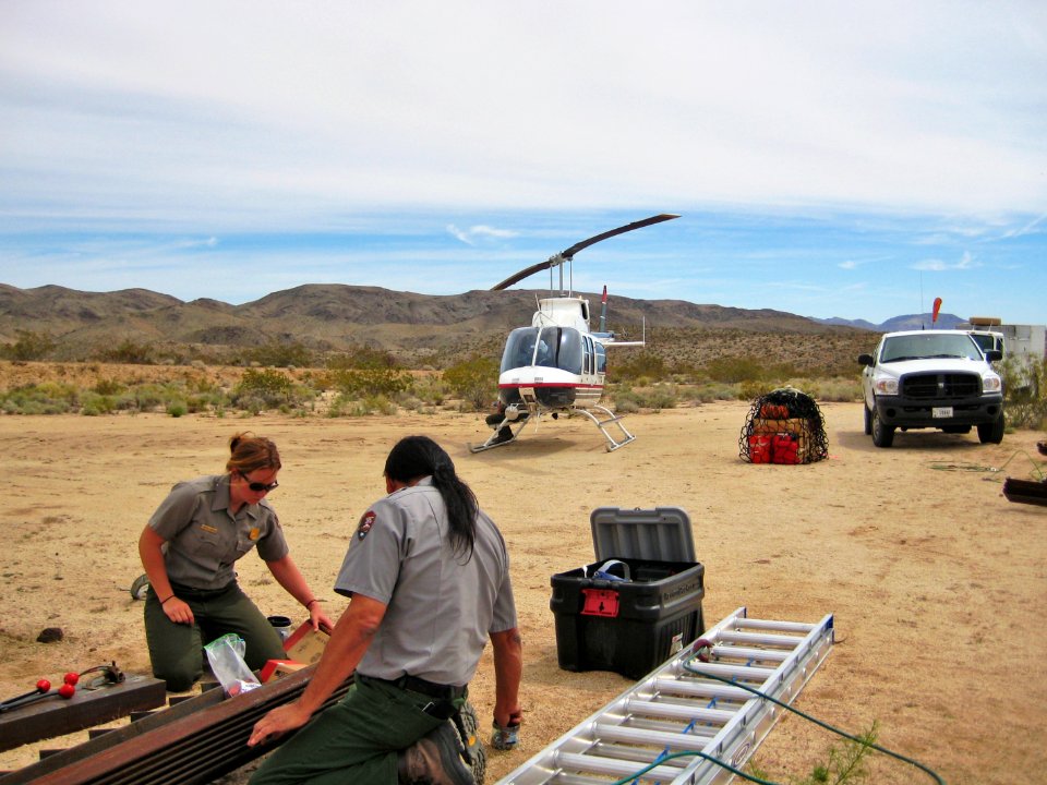 Mine closure staging; Borrow Pit