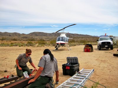 Mine closure staging; Borrow Pit