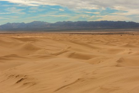 Cadiz Sand Dunes at Mojave Trails National Monument photo
