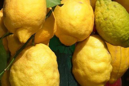 Vitamins fruity lemon photo