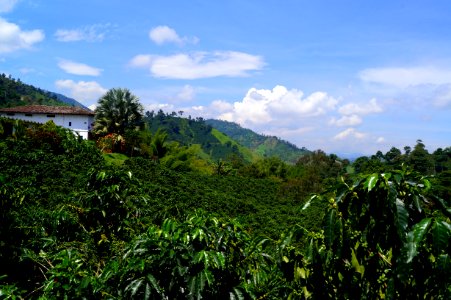 DSC07123