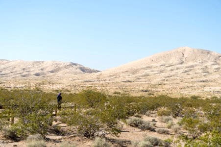 Mojave National Preserve photo