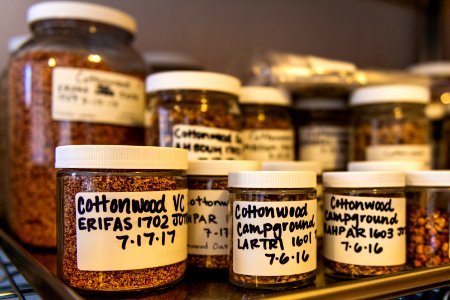 Seed banks