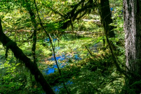 DSC04123-HDR.jpg