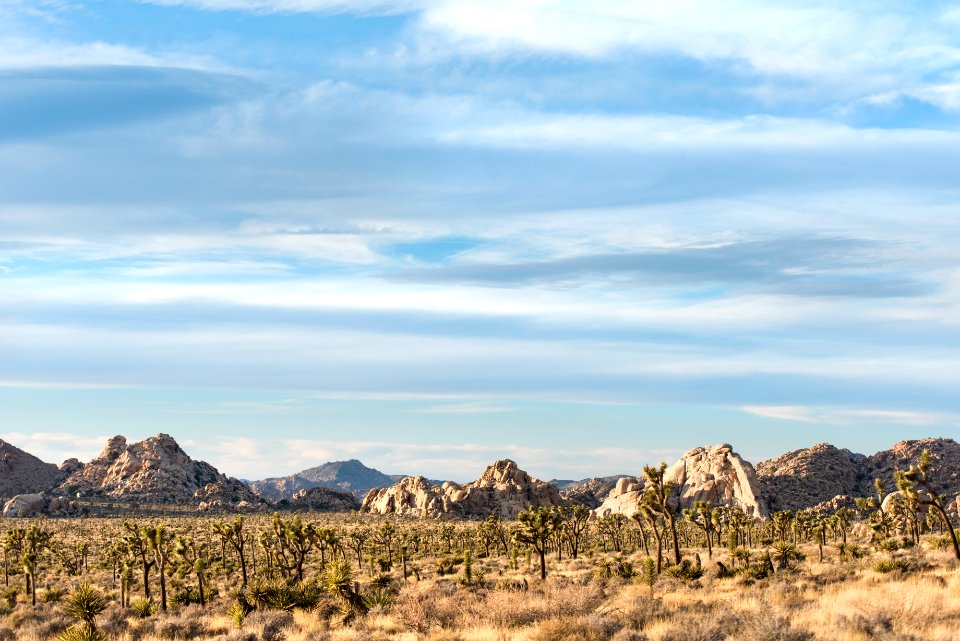 Wonderland of Rocks viewed from Lost Horse Valley