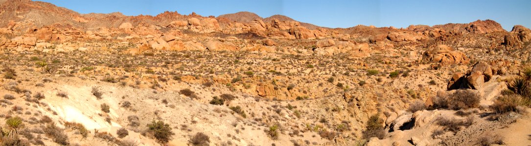 Eagle Mountain; Lost Palm Trail