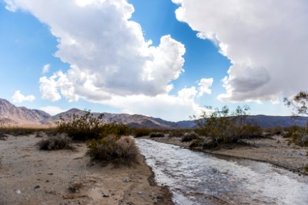 Flooding from monsoon rainfall in the Pinto Basin; Fried Liver Wash