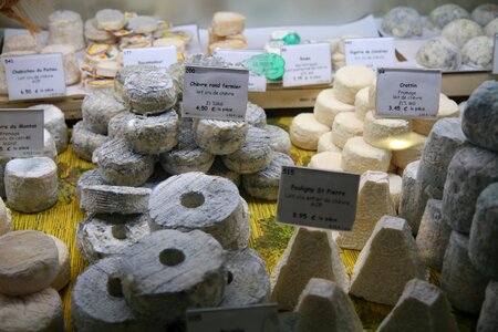 Cheese street food