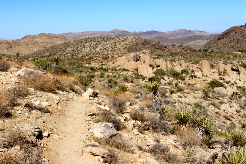 View from the Split Rock Trail