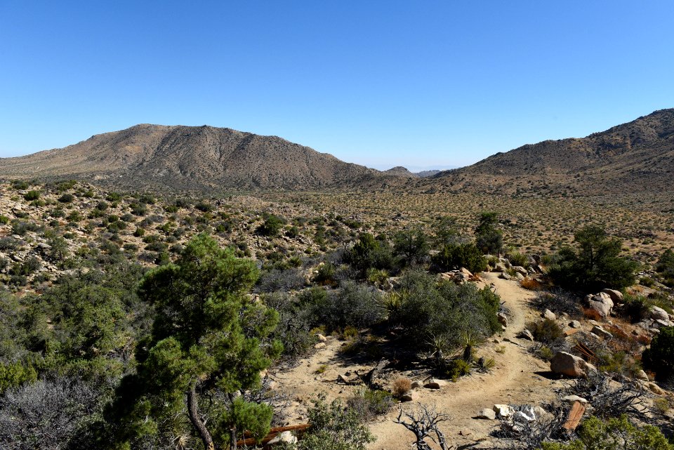 Covington Flats trail