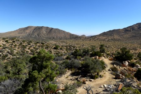 Covington Flats trail