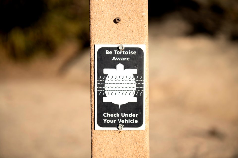 Be Tortoise Aware sign on campground post