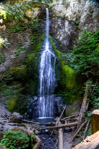 DSC03895.jpg