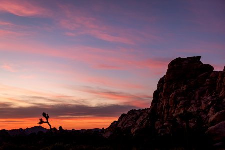 Sunsets in Joshua Tree