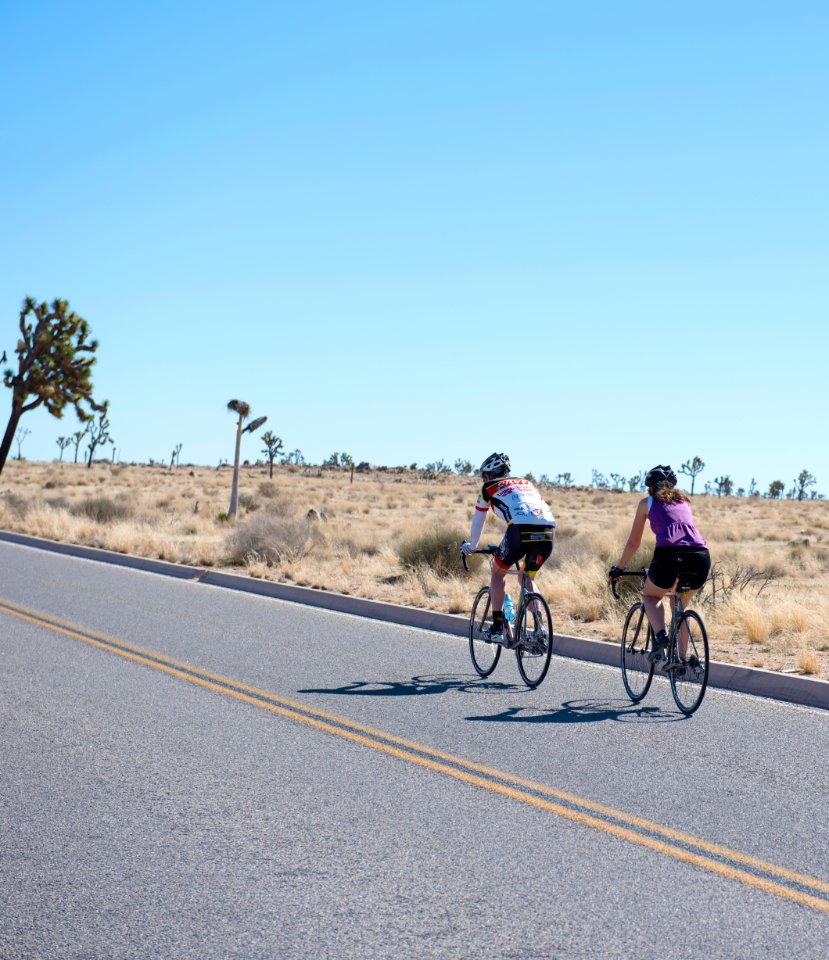 Cyclists on Park Boulevard