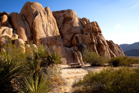 Indian Cove Picnic Area
