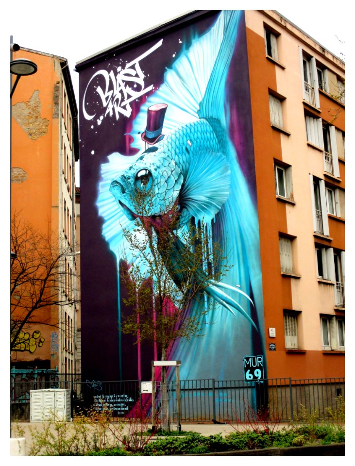 mur 69, Croix-Rousse, Lyon "Combattant du Siam"  (à suivre)