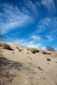 Pinto Dunes