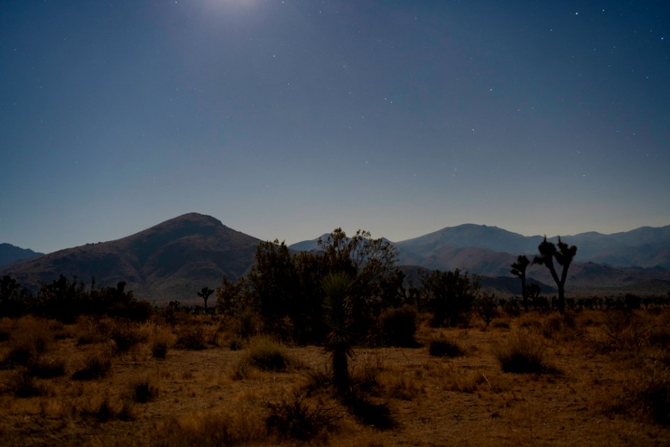 Quail Mountain in the moonlight