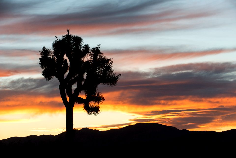 Sunset near Cap Rock