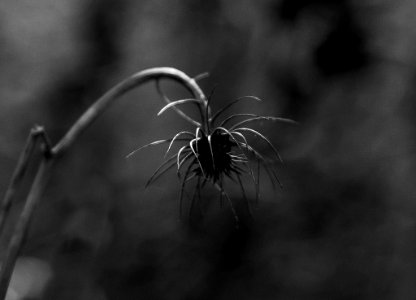 Fotografiando el Otoño