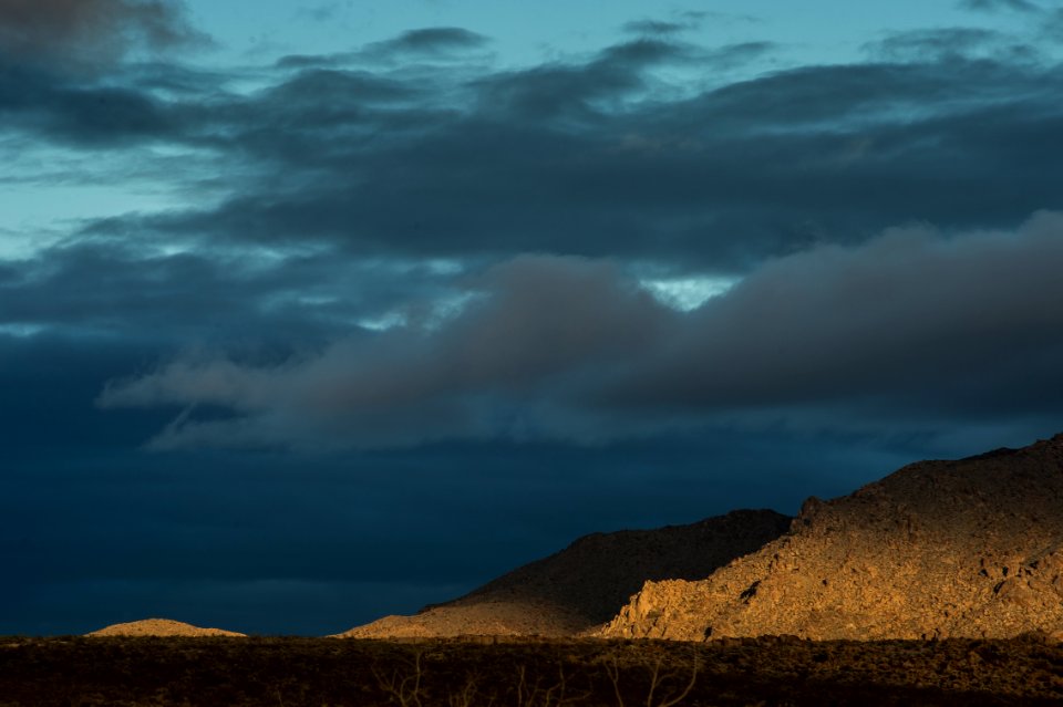 Evening Light Near Cottonwood