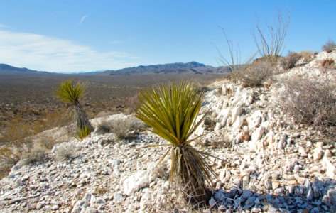 Quartz mine near Smoketree Wash