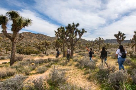 2017 Student Summit on Climate Change - Joshua tree Monitoring Project - Students locate study trees using GPS photo