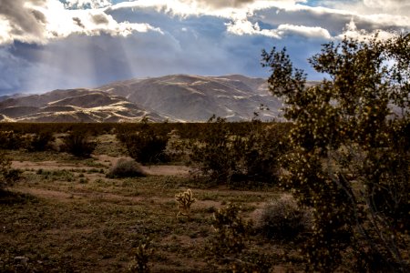 Wilderness in Pinto Basin looking toward Cottonwood Mountains