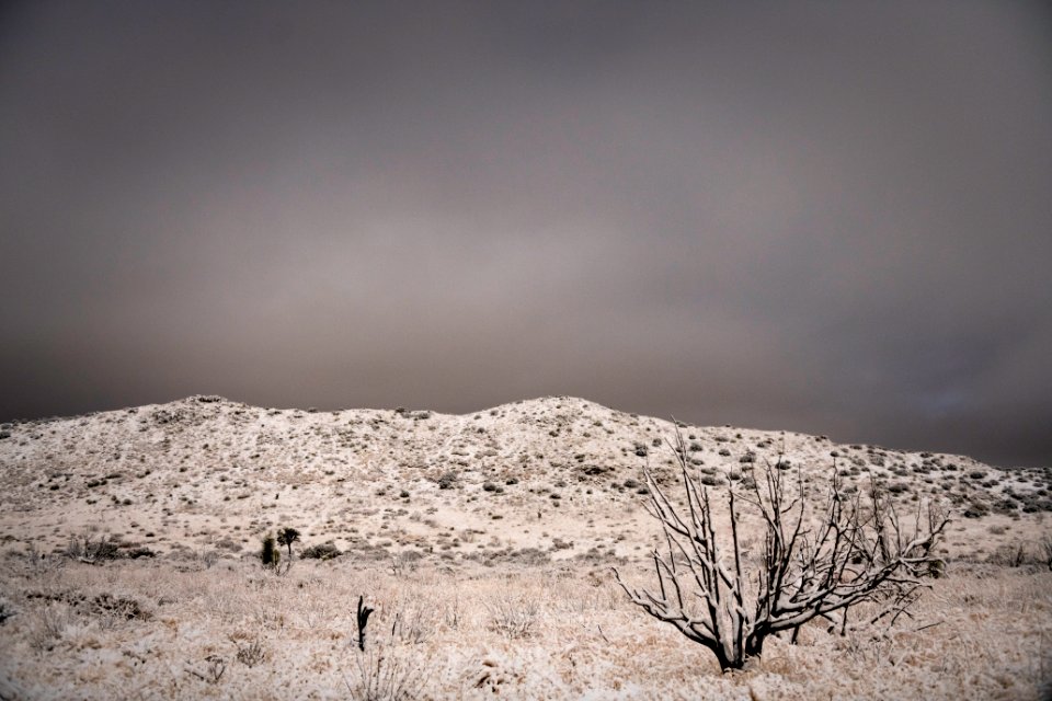 Snow covering the landscape with gray clouds at Covington Flats