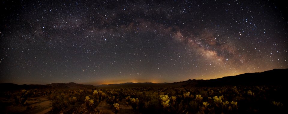 Milky Way over the Cholla Garden