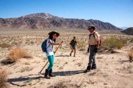 Volunteer Sahara Mustard plant pulling (4.4.15)