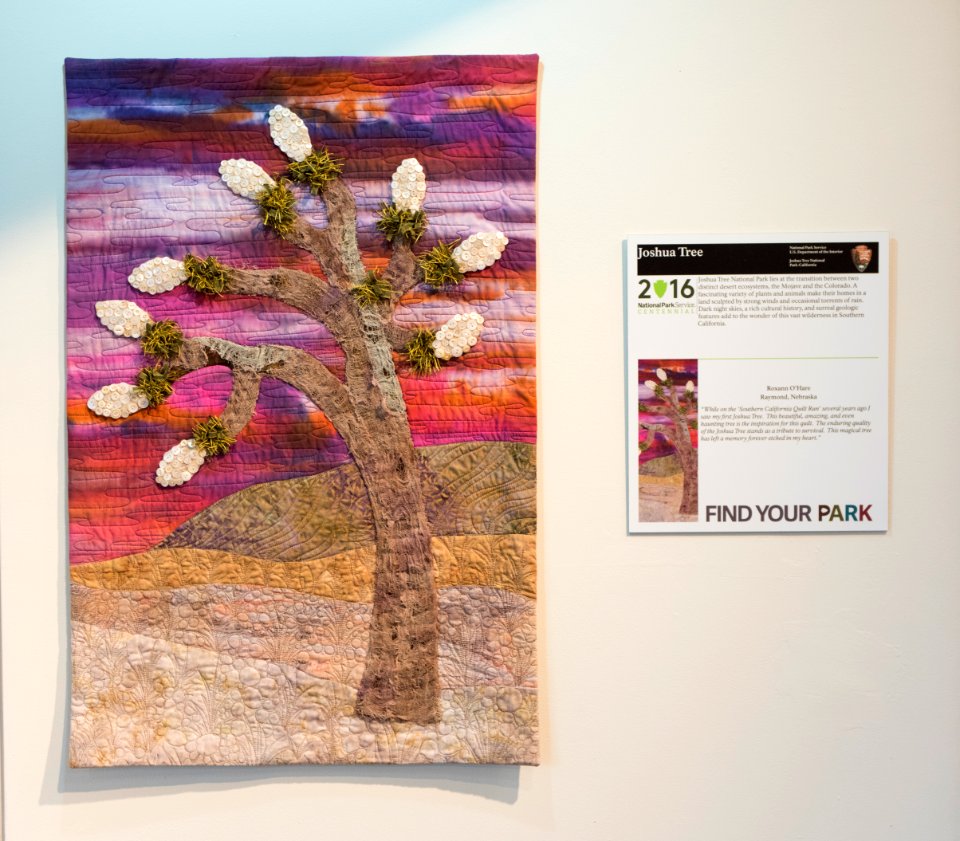 Joshua Tree National Park; created by Roxann O'Hare
