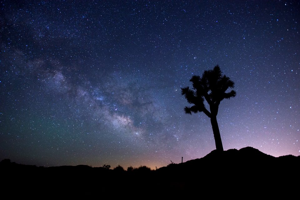 Night Sky