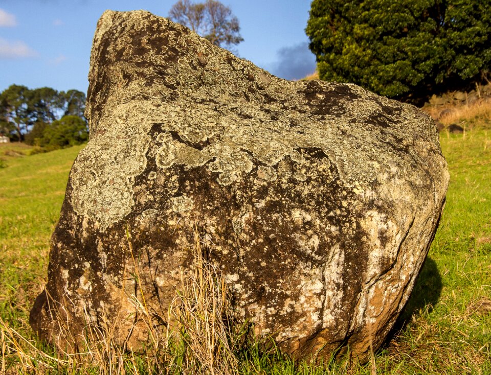 Geology lichen volcanic