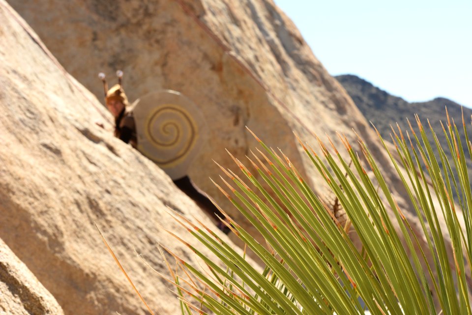 Halloween in Joshua Tree National Park. Climber in Snail Costume