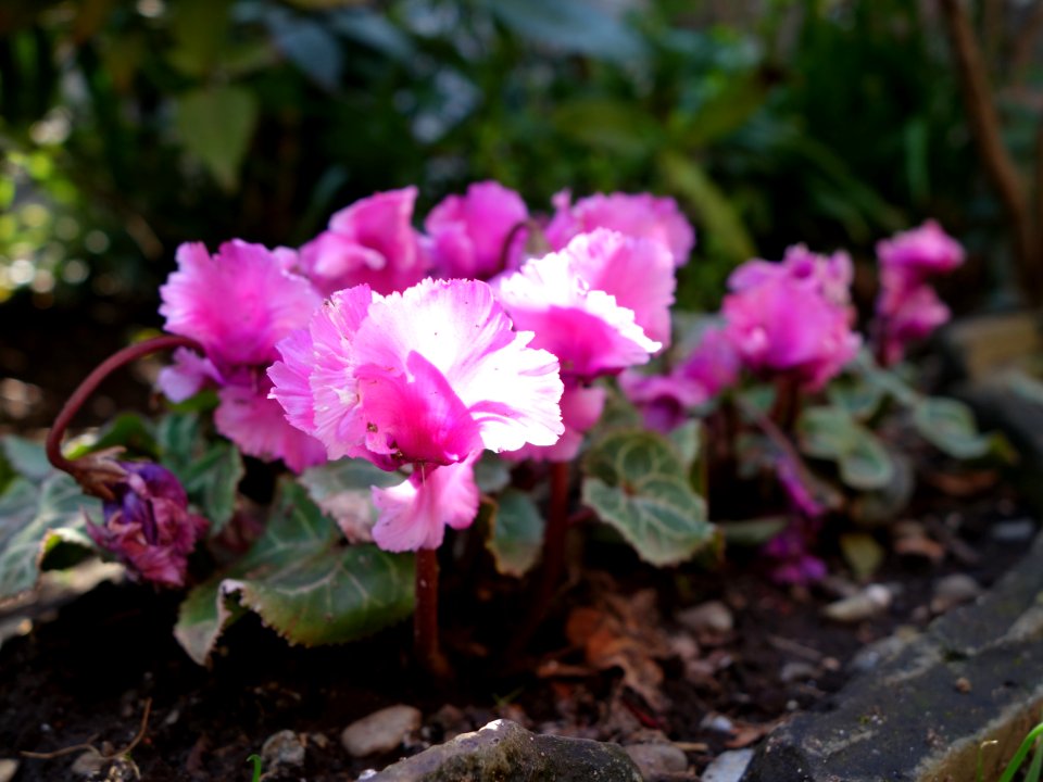 140324-113845-DSC01123