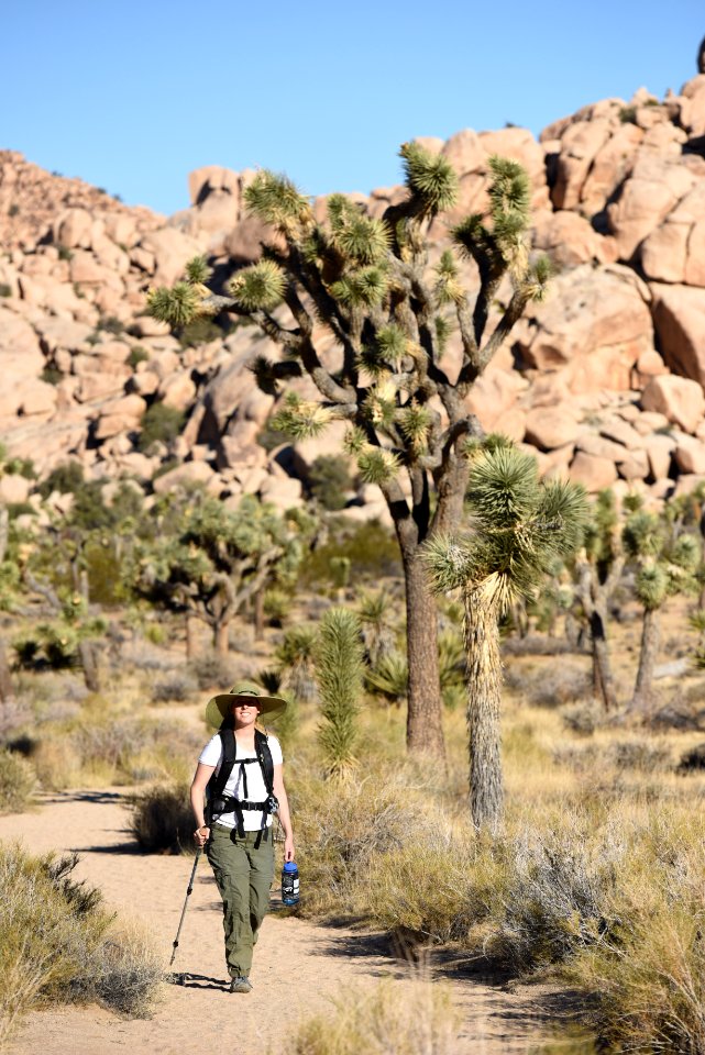 Hiker on Barker Dam Trail