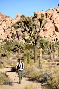 Hiker on Barker Dam Trail