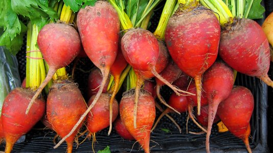 Healthy market food