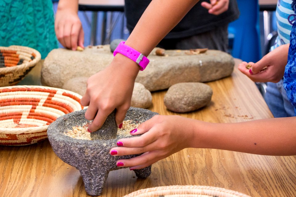 GATE (Gifted and Talented Education) students grind acorns