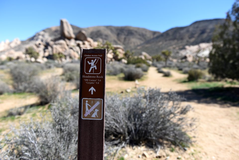 Climbing trail from Ryan Campground